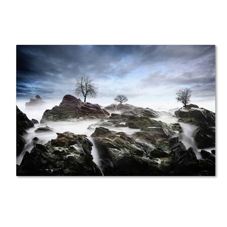 Trademark Fine Art Philippe Sainte-Laudy 'And Then.' Canvas Art, 30x47 PSL0282-C3047GG